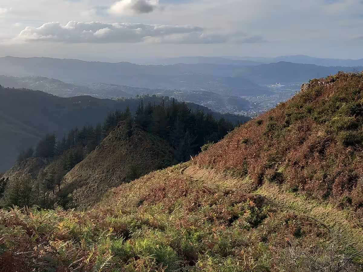 Fotos de Abeduriu Trail Race 2026: Bibscout en el Campeonato de España